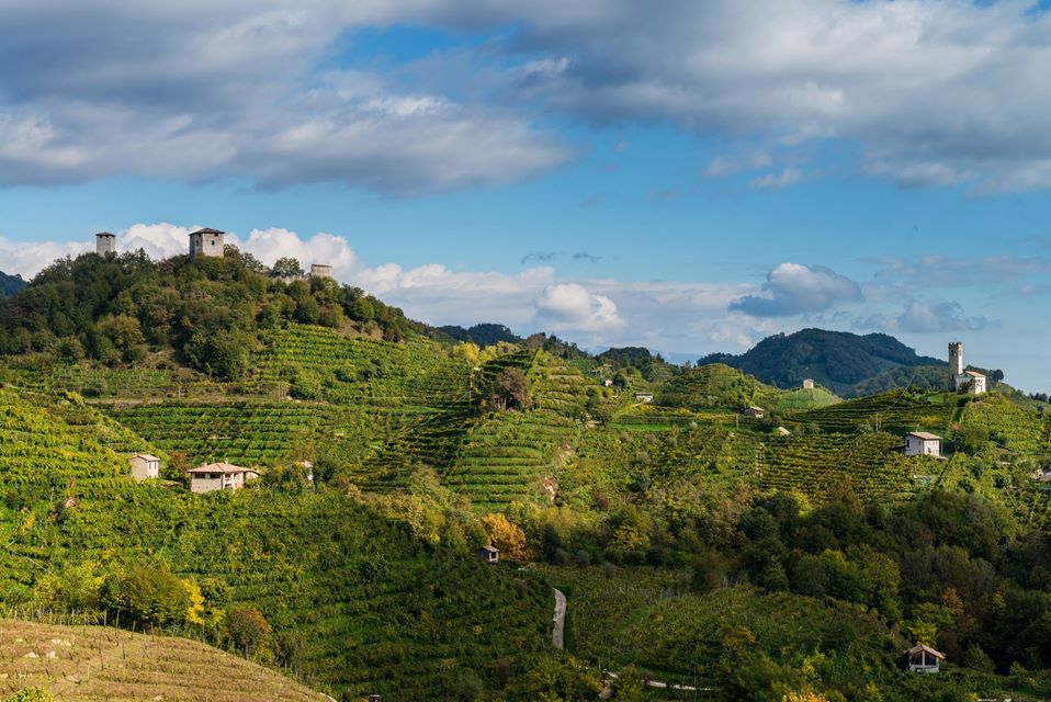 Caso Glifosato e Prosecco, il consorzio Docg: “Non faremo passi indietro”
