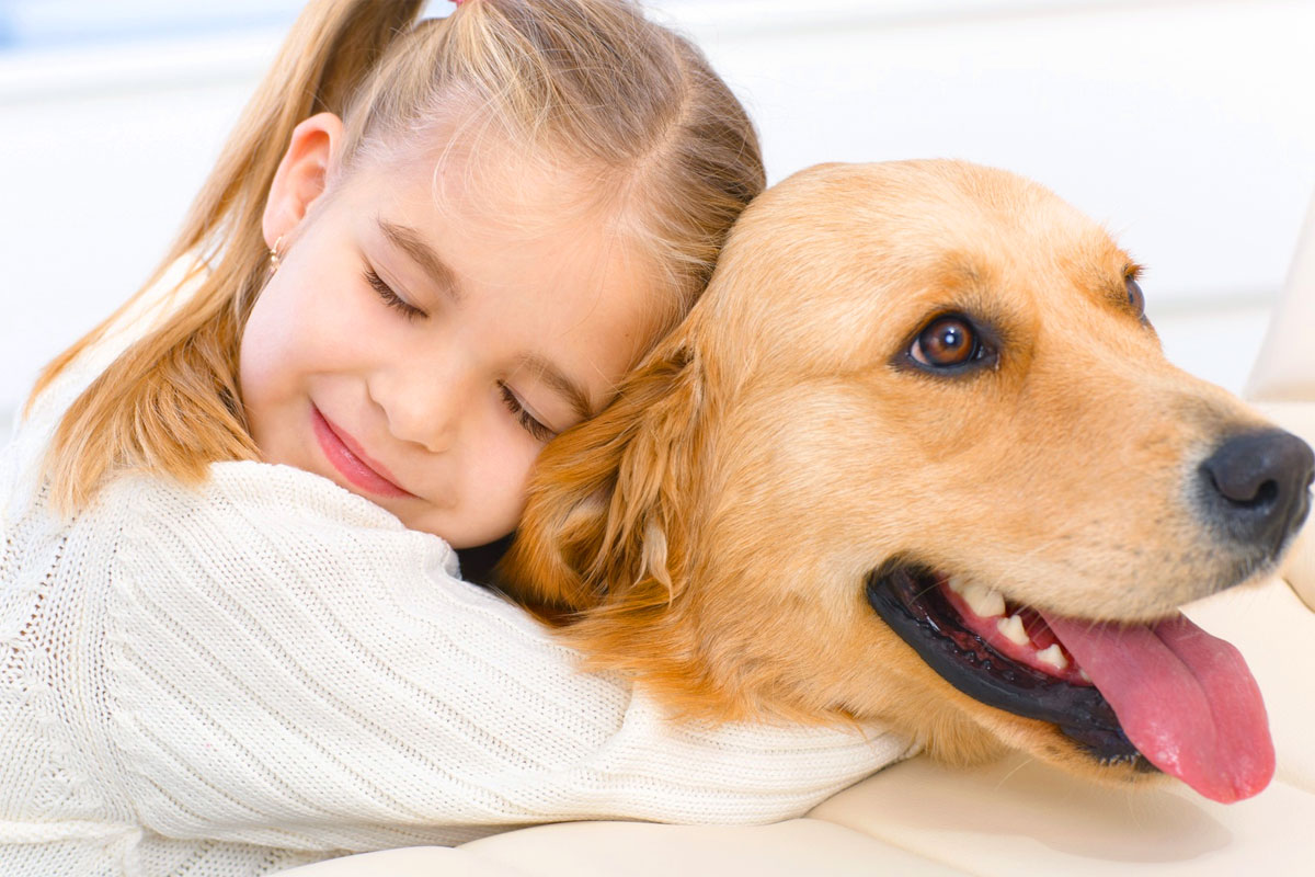 Pet Therapy, sabato 15 febbraio seminario a Tarzo