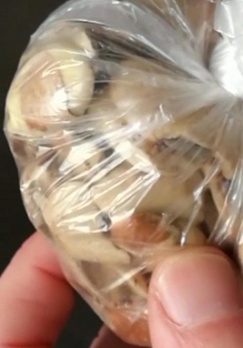 Prodotti con dentro insetti e vino “abusivo”: locali chiusi dalla Polizia locale