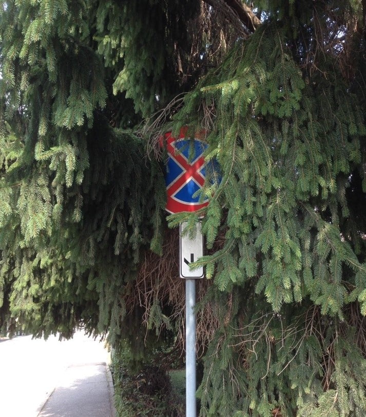 Scatta-il-segnale-11