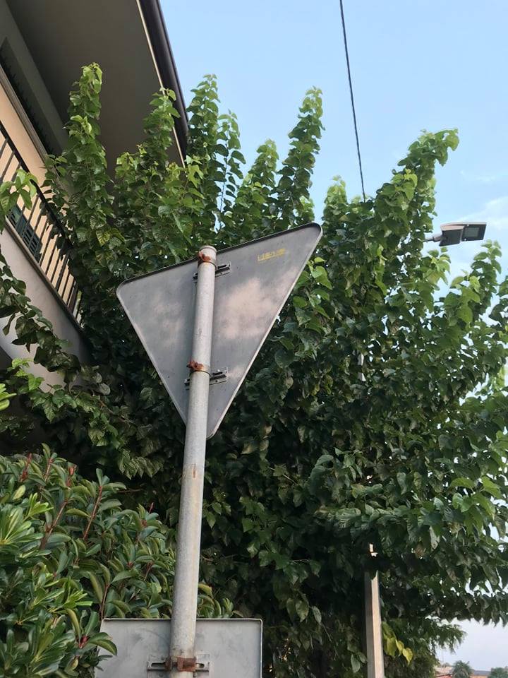 Scatta-il-segnale-5