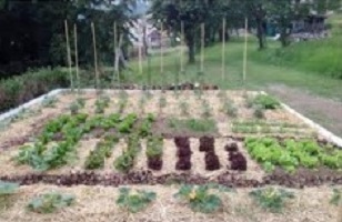 Orto biologico a Salvarosa: da martedì 18 febbraio torna il corso