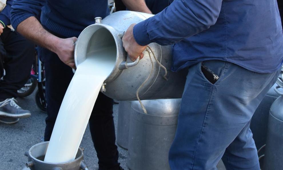 Coldiretti Treviso: “Basta speculazioni, colpire i furbetti del latte”