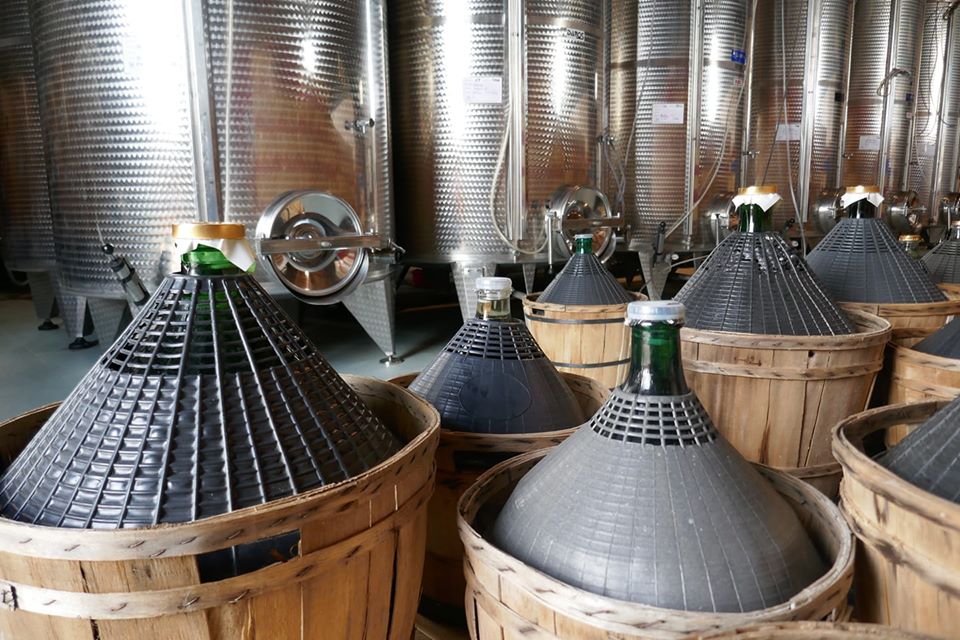 I negozi che consegnano la spesa a domicilio a Cimadolmo: la società agricola Vigne Capraro