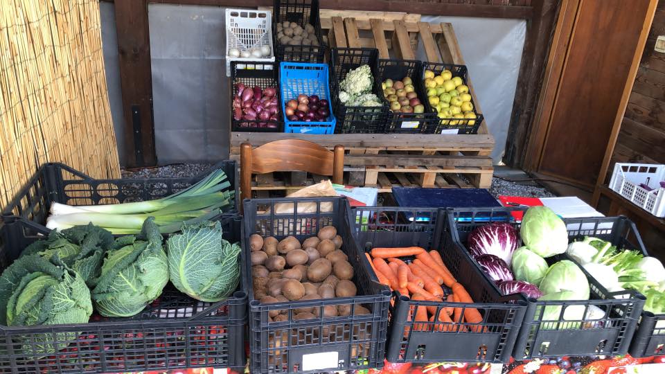 I negozi che consegnano la spesa a domicilio a Nervesa: azienda agricola Talpon