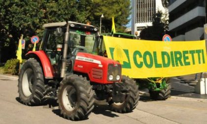 Coldiretti Treviso: stop ristoranti e bar costa 100 milioni all'agricoltura trevigiana