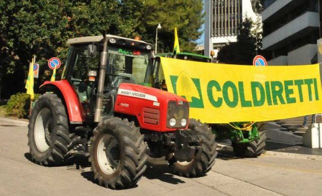 Mercato agricoltori Conegliano, si riapre da domani