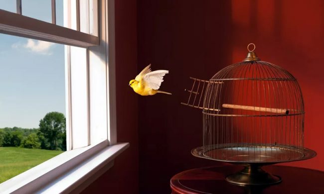 La prima cosa bella che farò dopo il 3 maggio (forse) sarà…” SCRIVETECI!