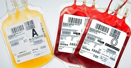 Coronavirus, terapia con plasma dei guariti: la speranza dal Veneto