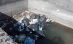 Musano di Trevignano, sacchi neri di rifiuti nel canale: residenti esasperati - FOTO