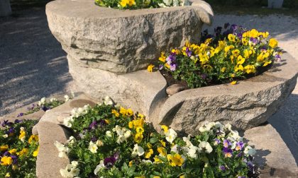 "Il Tuo Comune rifiorisce": un po' di primavera e speranza a Pederobba - FOTO