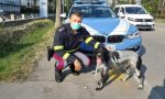 Cane fuggito a Villorba, salvato dagli agenti della Polstrada
