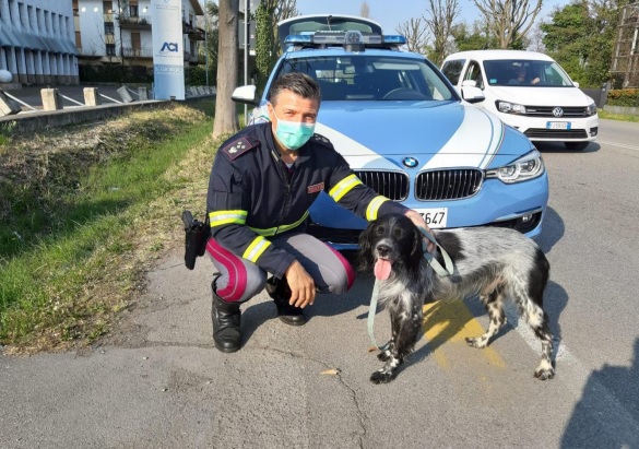 Cane fuggito a Villorba, salvato dagli agenti della Polstrada