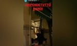 Movida Padova, scene inqualificabili e addirittura un arresto - VIDEO