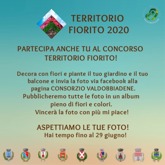 "Territorio Fiorito", parte la sfida tra "pollici verdi": nove comuni dell'Alta Marca coinvolti