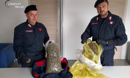 Nei guai una 24enne: aveva 2,2 chili di marijuana essiccata