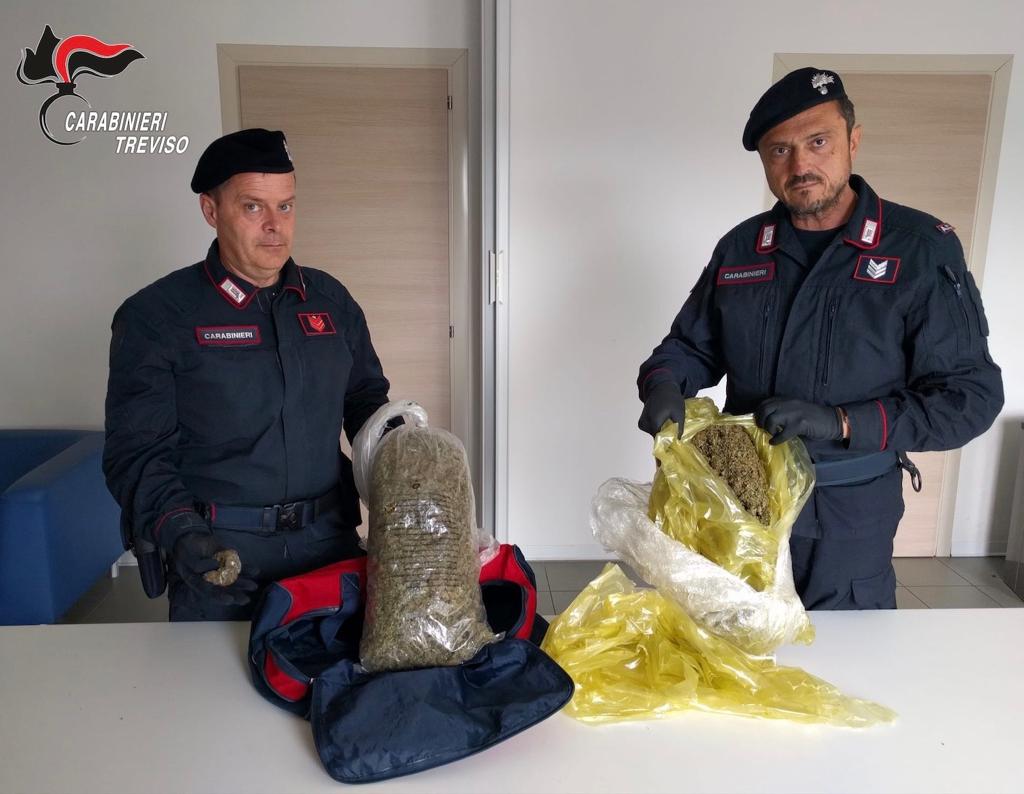 Nei guai una 24enne: aveva 2,2 chili di marijuana essiccata