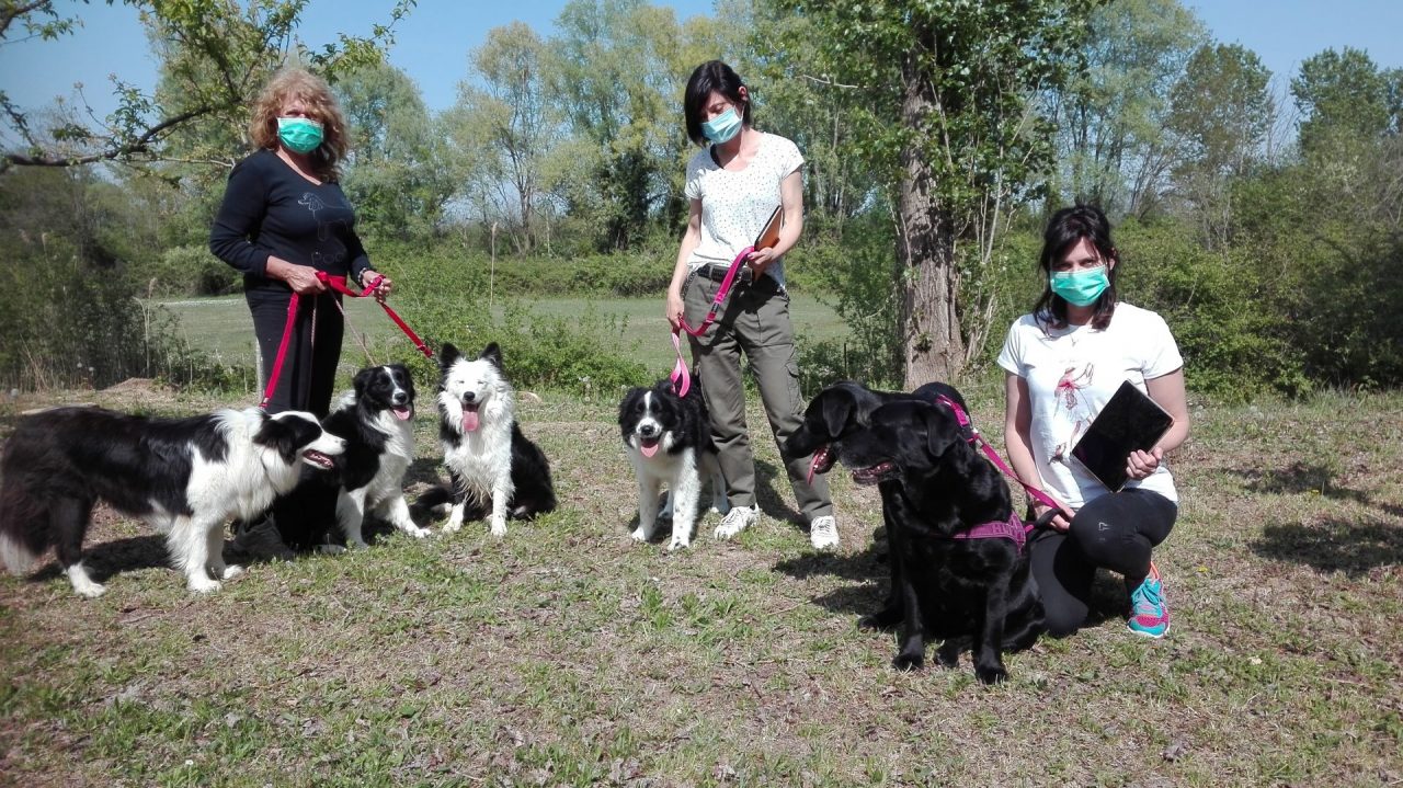 Pet Therapy da remoto per i bimbi dell’oncoematologia pediatrica: le “Coccole pelose” funzionano anche a distanza!