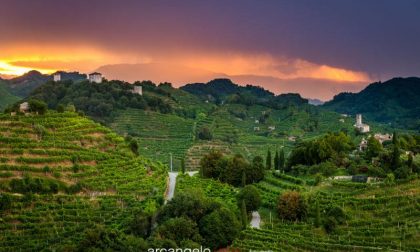 "Weekend in Cantina": ripartono le visite nei fine settimana sulla Strada del Prosecco