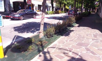 "Adotta un'aiuola": nuova campagna del Comune di Montebelluna