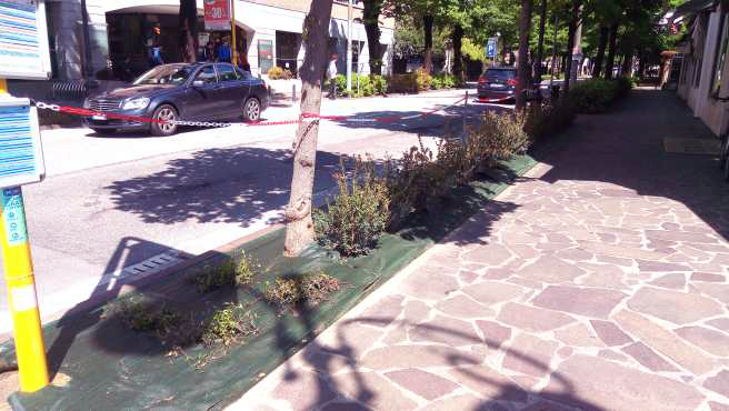 “Adotta un’aiuola”: nuova campagna del Comune di Montebelluna
