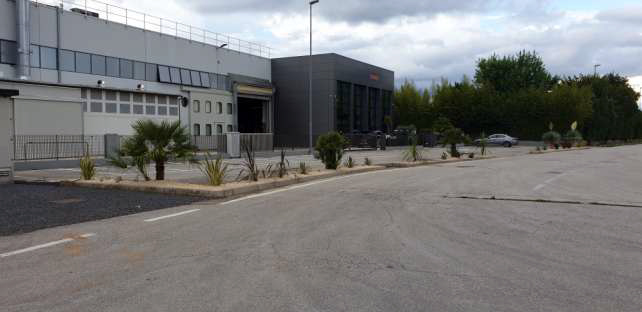 "Adotta un'aiuola": nuova campagna del Comune di Montebelluna