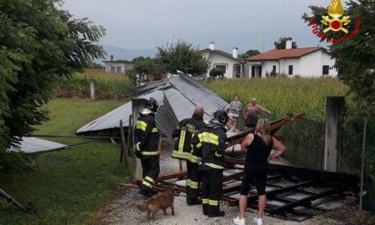 Maltempo sulla Marca: oltre 60 interventi tra alberi caduti, vento e tetti scoperchiati FOTO