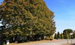 Breda di Piave distribuisce alberi ai cittadini per ridare il sorriso alla Pianura Padana