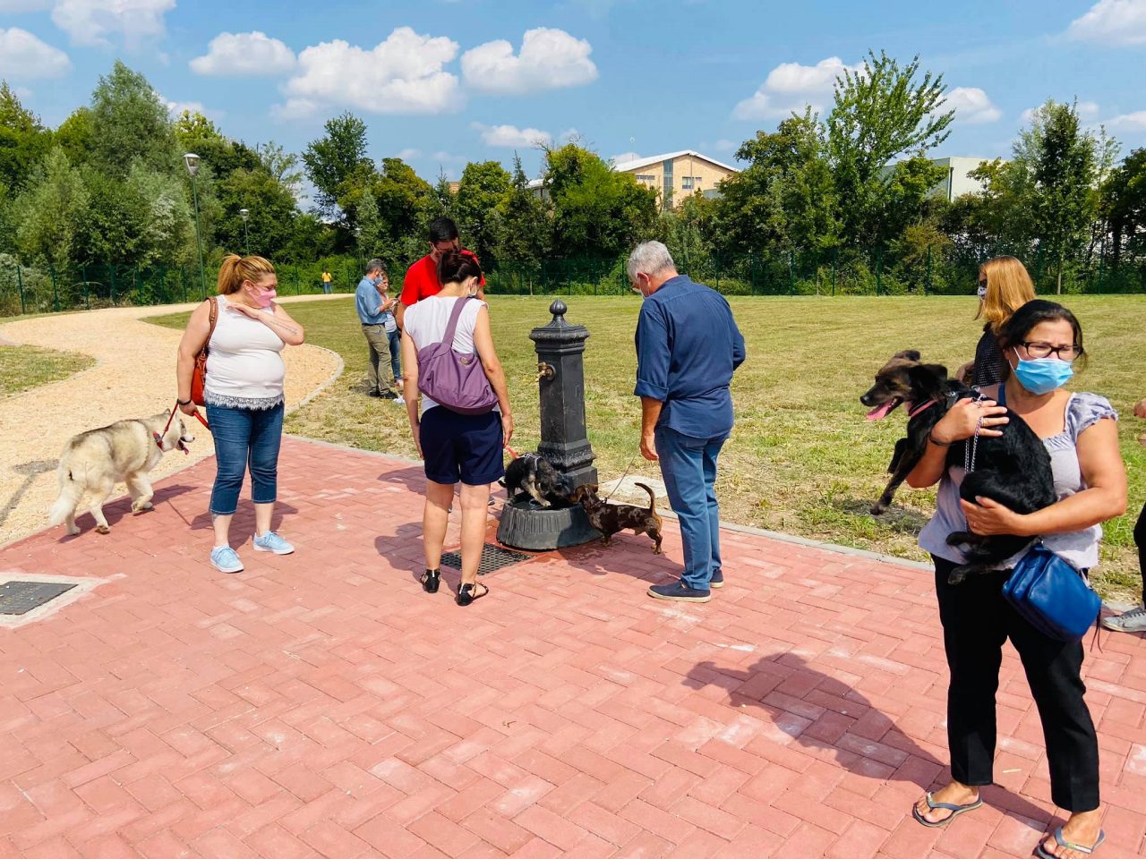 Sgambatura cani a Treviso, inaugurata la nuova area di vicolo San Bartolomeo