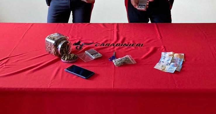 In casa aveva una pianta di cannabis e 162 grammi di marijuana, nei guai un 24enne