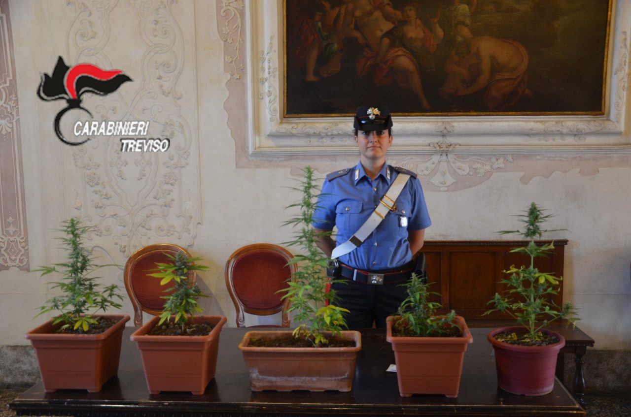 Carabinieri di Treviso: sequestrati quasi 5 chili di droga!