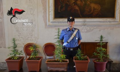 Carabinieri di Treviso: sequestrati quasi 5 chili di droga!