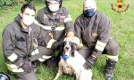 Cane precipita in una scarpata a Susegana, salvato dai Vigili del fuoco