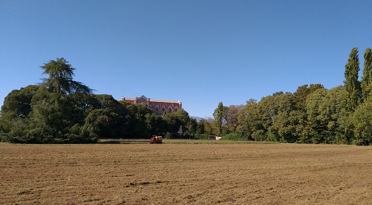 Cooperativa Eos: dona nuova vita al Parco Bertolini di Montebelluna