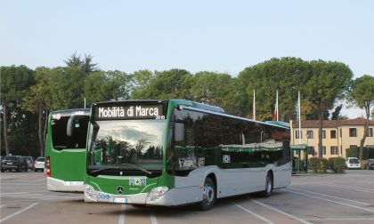 Ibrido leggero, a Treviso debutta il trasporto pubblico sostenibile