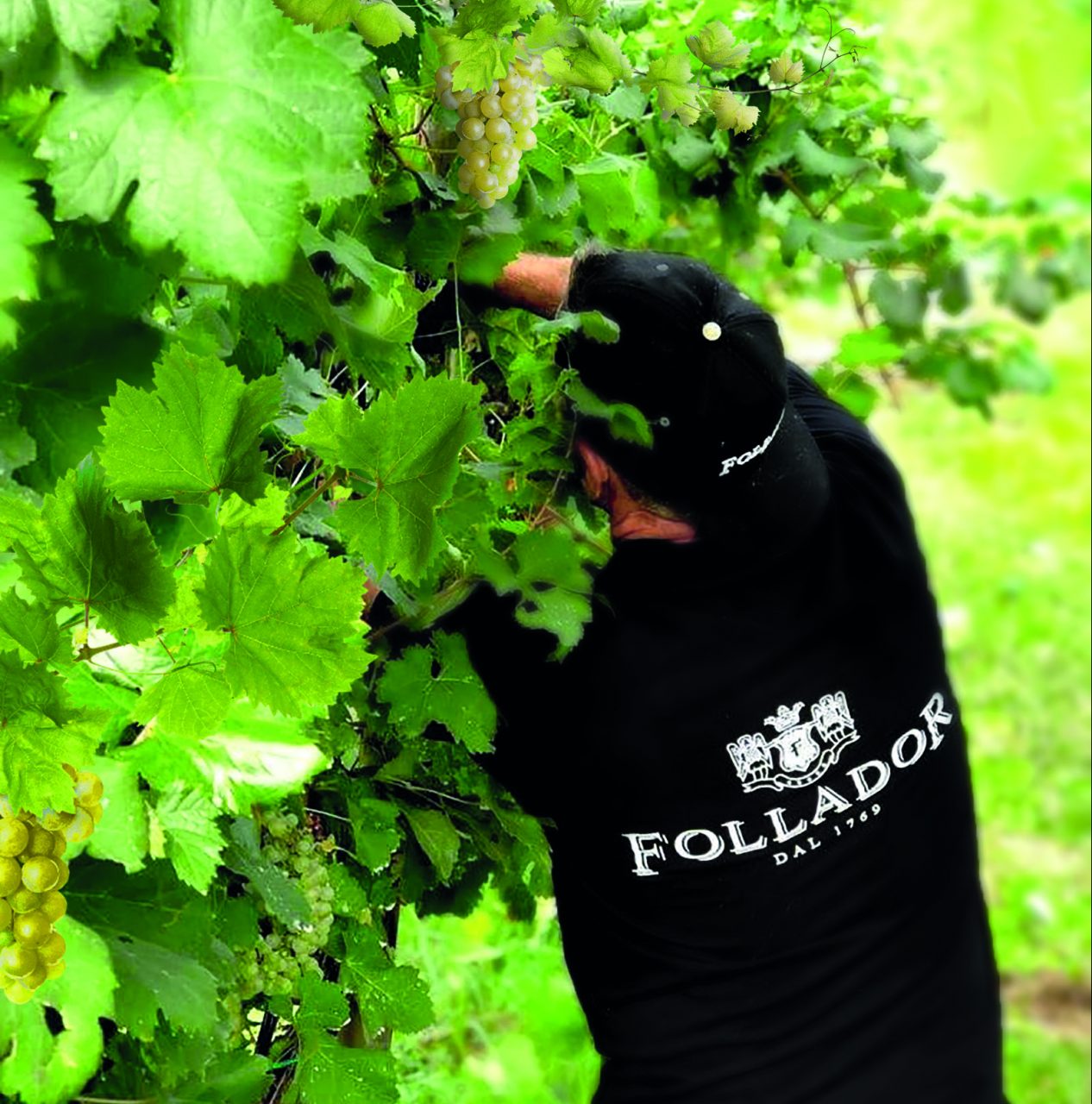 Prosecco Follador vincitore di concorsi internazionali