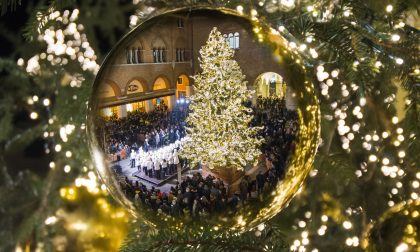 Cosa fare a Treviso e provincia nel weekend: gli eventi di Natale e Santo Stefano 2021