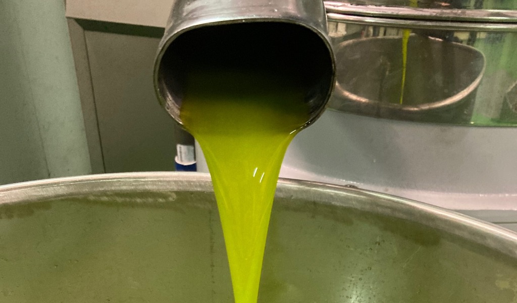 Olio di Maser, il 2020 è stata una grande annata 