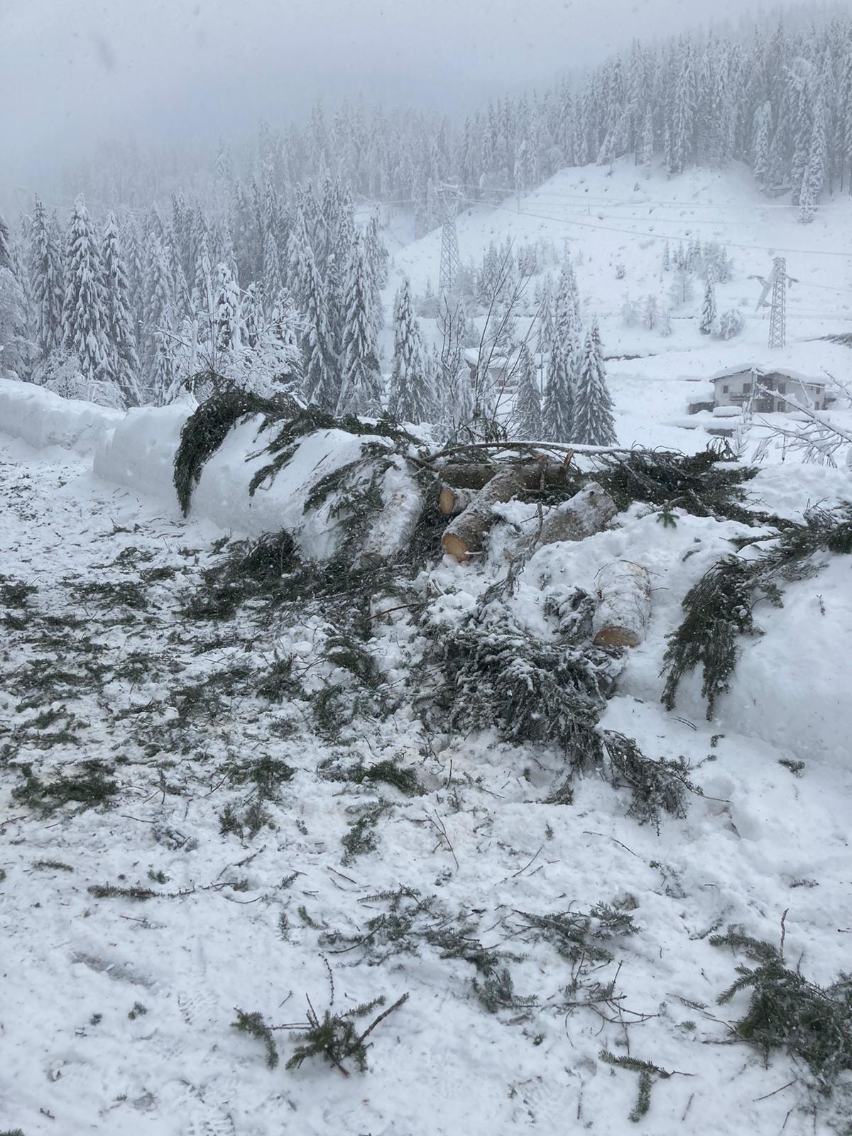 Isolati dalla neve in montagna, salvati nove ospiti di un residence: anche un trevigiano - FOTO