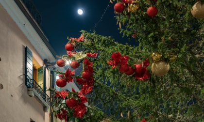 Treviso accende il Natale 2020: alberi monumentali, video e inno ufficiale