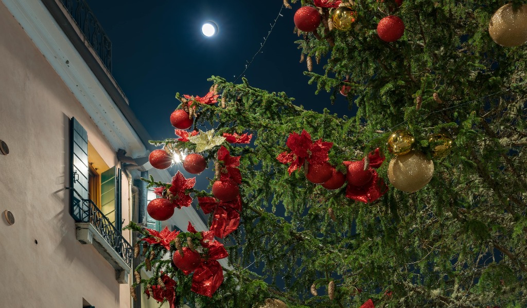 Treviso Accende Il Natale Alberi Monumentali Video E Inno Ufficiale Prima Treviso