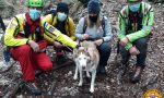 Monte Grappa, scappa durante una passeggiata: Maya salvata dal Soccorso Alpino