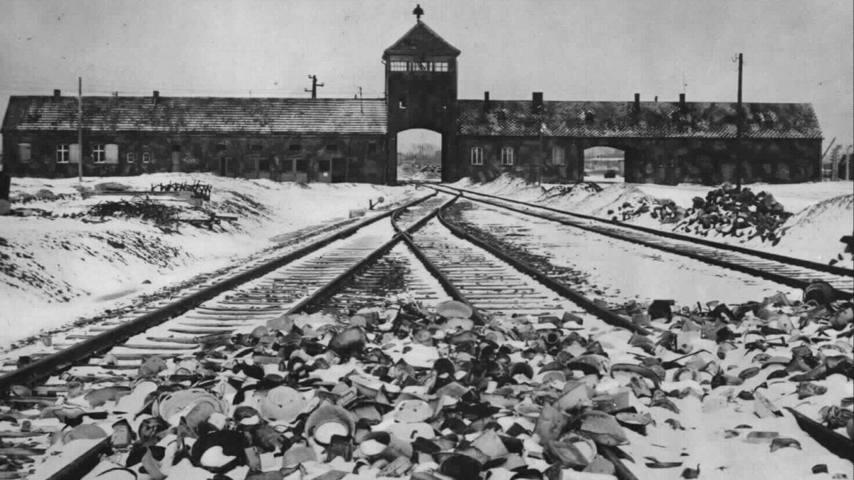 Giornata della Memoria: il Liceo Levi dedica un approfondimento online