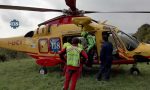 Travolto dalla caduta di un albero: ciclista 69enne finisce all'ospedale
