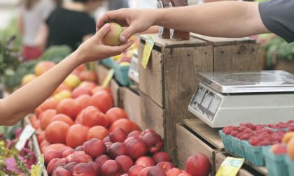 Si spaccia per commerciante di frutta e ruba il portafoglio all'ignaro "cliente"