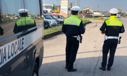 Truffatori "alla frutta" intercettati dalla Polizia locale a Castelfranco