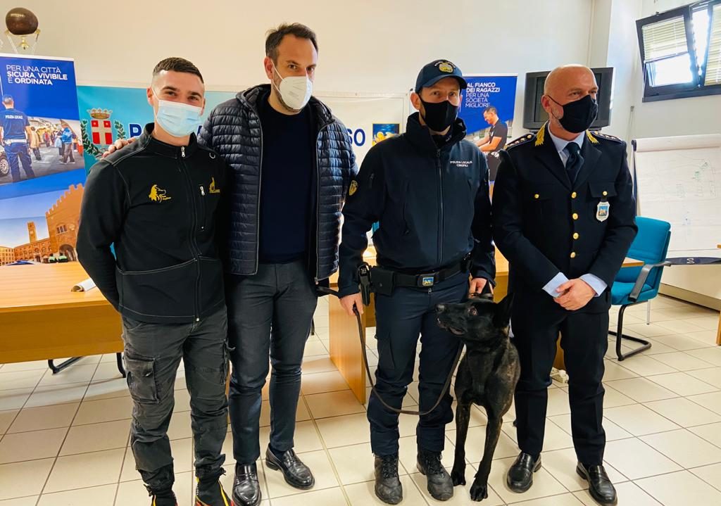 Ecco Luke, il nuovo cane antidroga della Polizia locale di Treviso