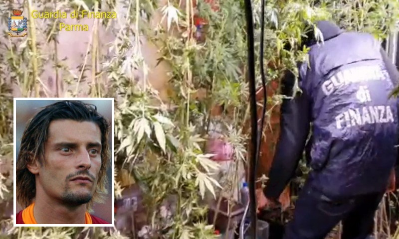 Un (ex) calciatore in erba: il video della maxi coltivazione di marijuana costata l’arresto a Luigi Sartor