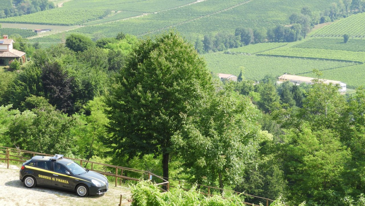 Manodopera irregolare nella potatura dei vigneti: 14 lavoratori “abusivi” nel Trevigiano