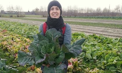 "Orto Biologico: Tecniche di coltivazione": corso online dal 23 febbraio